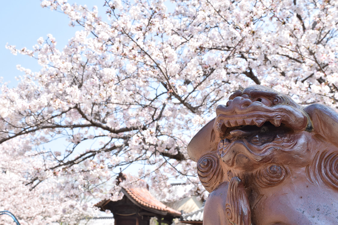 春の履掛（くつかけ）天満宮